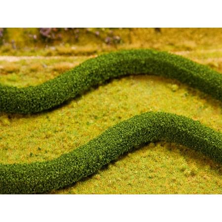 2 PREMIUM Decorative hedges/European hornbeams 