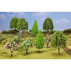 10 Deciduous trees, assorted 