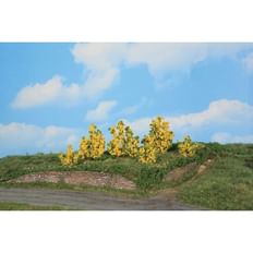 6 Forsythiensträucher 3-6 cm 