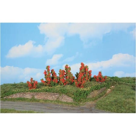 6 Rosensträucher 3-6 cm 