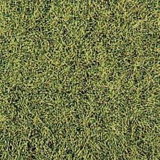 realistic wild grass savannah / 28 x 