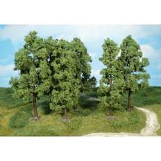 beech trees 18 cm / 6 pc 