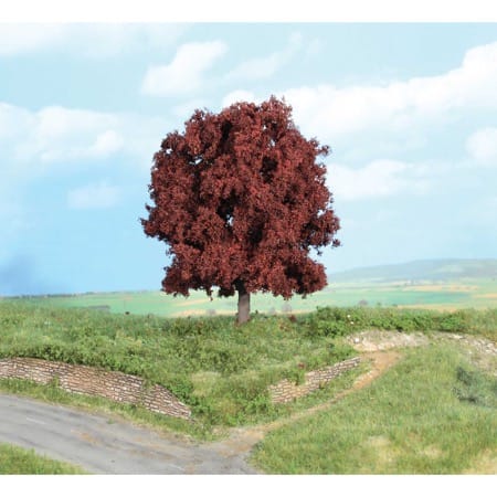 copper beech 16 cm 