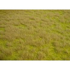 realistic wild grass savannah / 45 x 