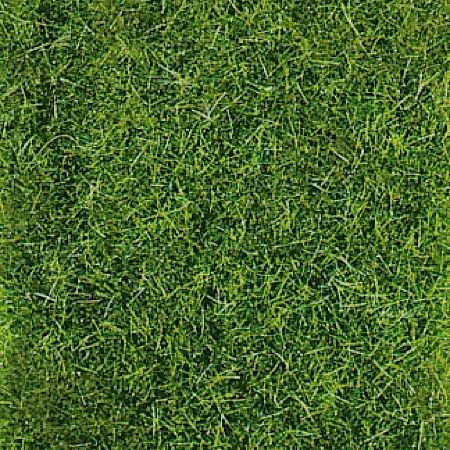 realistic wild grass dark green / 40 