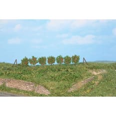 Spalierobst, 36 Stück ca. 2,5 cm incl.Spannpfosten 