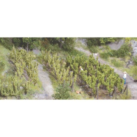 36 Rebstöcke ca. 2,5 cm incl.Spannpfosten 