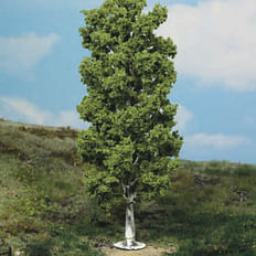 birch tree 20 cm 