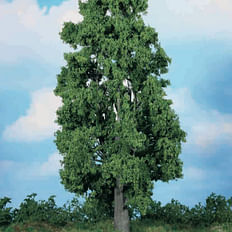 chestnut tree 30 cm 
