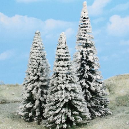 snowy firs 16-21 cm / 3 pc 