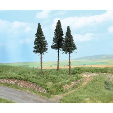 high-trunk firs 17 cm / 3 