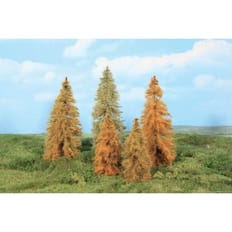 5 Lärchen herbstlich 14-18 cm 