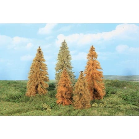 5 Lärchen herbstlich 14-18 cm 
