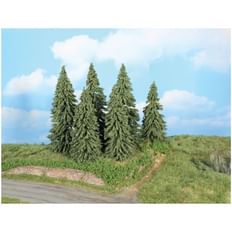 6 Wetterfichten  14-18 cm 