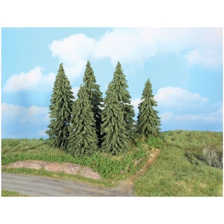 6 Wetterfichten  14-18 cm 