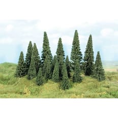 100 Stecktannen 5-14 cm 