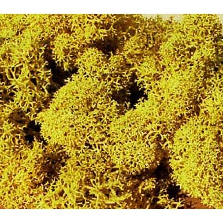 lichen yellow 30 g 