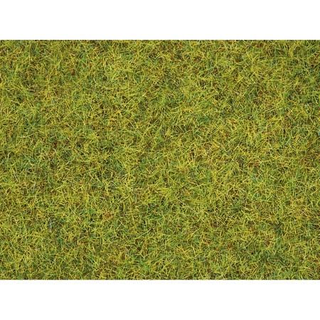 Scatter Grass Summer Meadow, 2,5 mm 