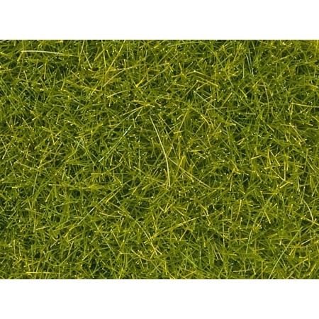 Scatter grass 