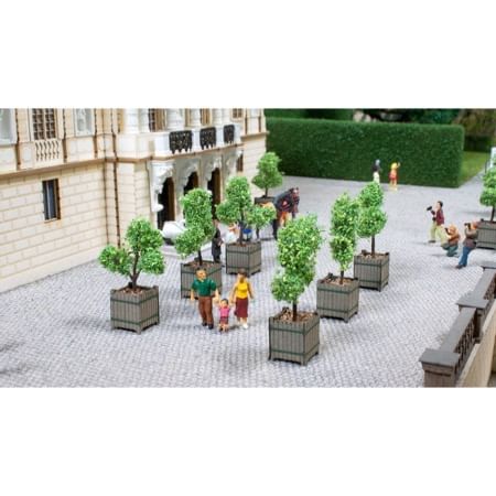 Ornamental Trees in Tubs 