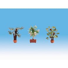 Mediterranean Plants 