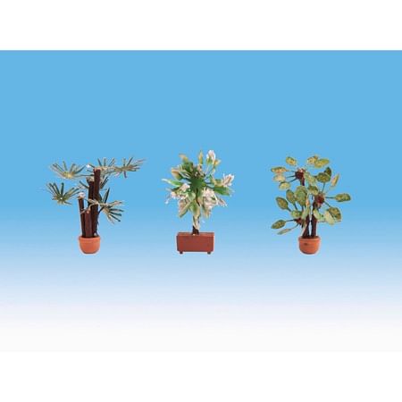 Mediterranean Plants 