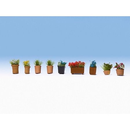 Flowers in Pots 