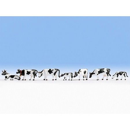 Cows, black-white 