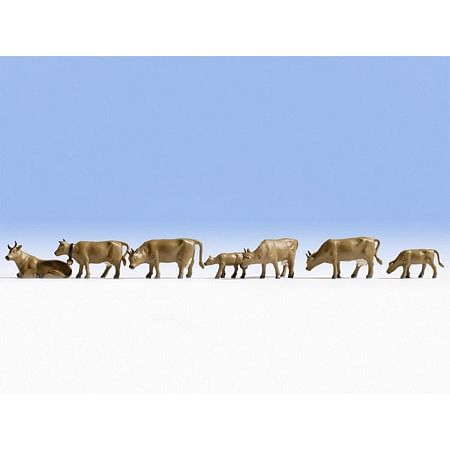 Cows, dark brown 