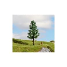 High Trunk Spuce Tree 