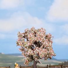 Fruit Tree, flowering 