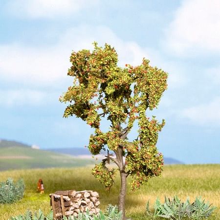 Rowan Tree with Berries 