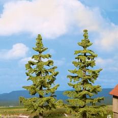 Spruce Trees, 2 pieces, 11 and 
