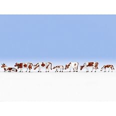 Cows, Brown-White 