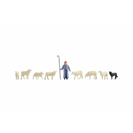 Sheep and Shepherd 