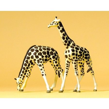 Giraffer 