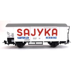 DSB Iblps Sajyka 