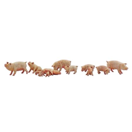 N Yorkshire-Schweine 